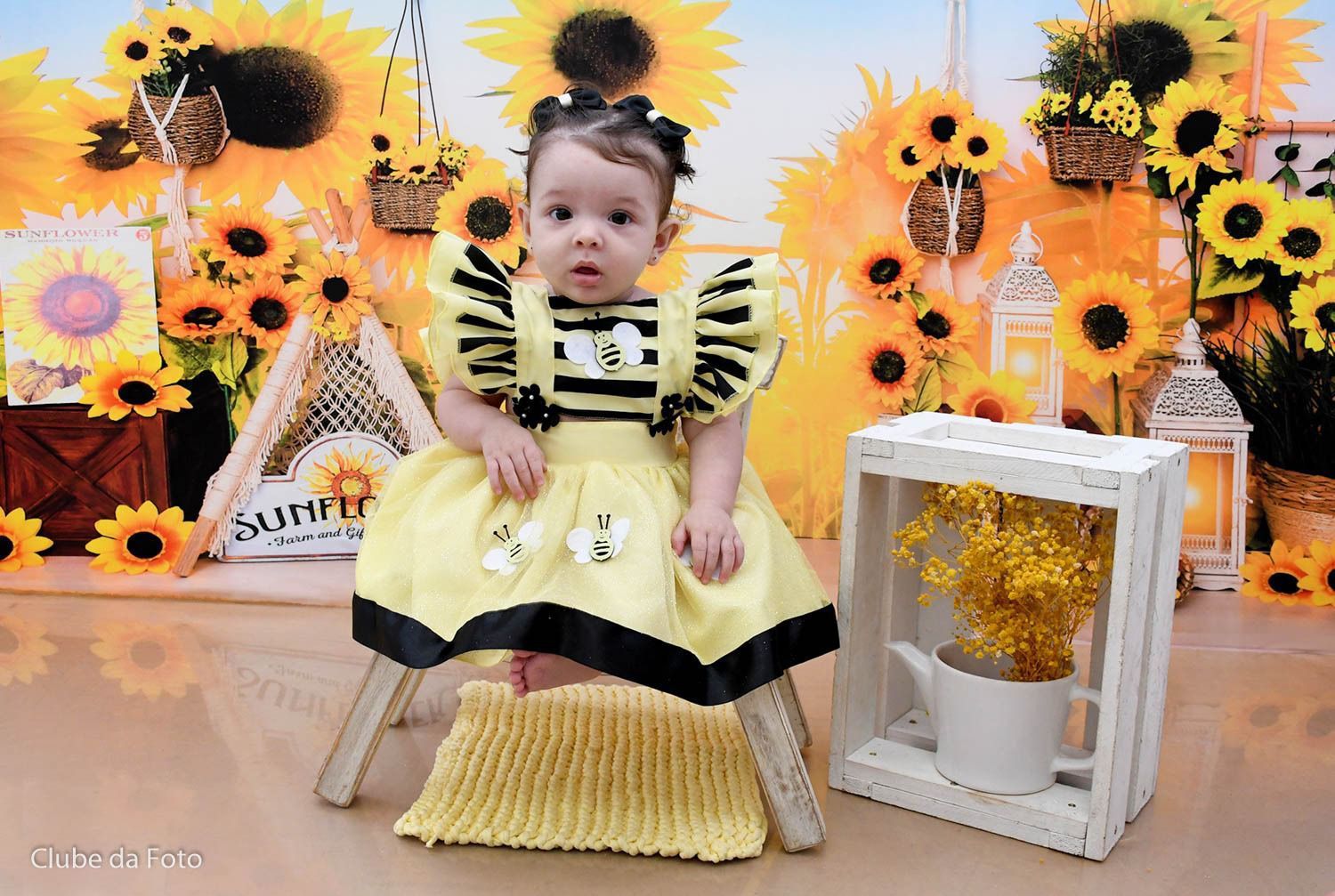 Romper/Vestido Princesa Abelha - Abelinha - Leveza e Elegância para Meninas | Bebeloo Kids